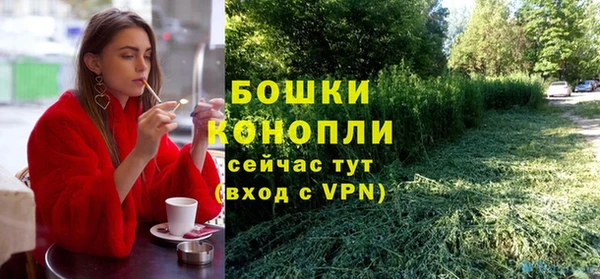 амф Краснослободск