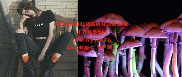 эйфоретик Покачи