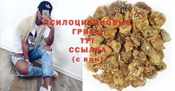 амф Краснослободск