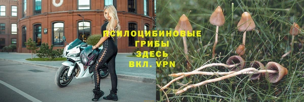 бошки Коряжма
