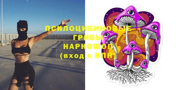 амф Краснослободск
