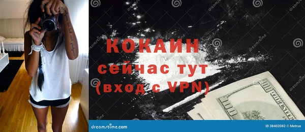 шишки Олёкминск